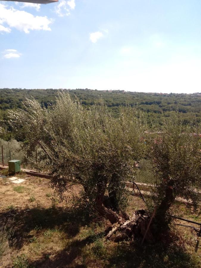 V Klancu *